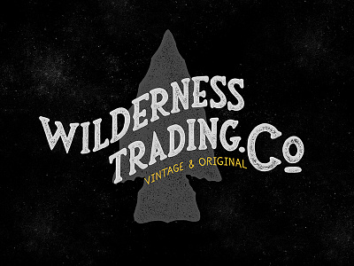 Wilderness Trading Hand lettering brand grunge handmade lettering logotype typography vintage