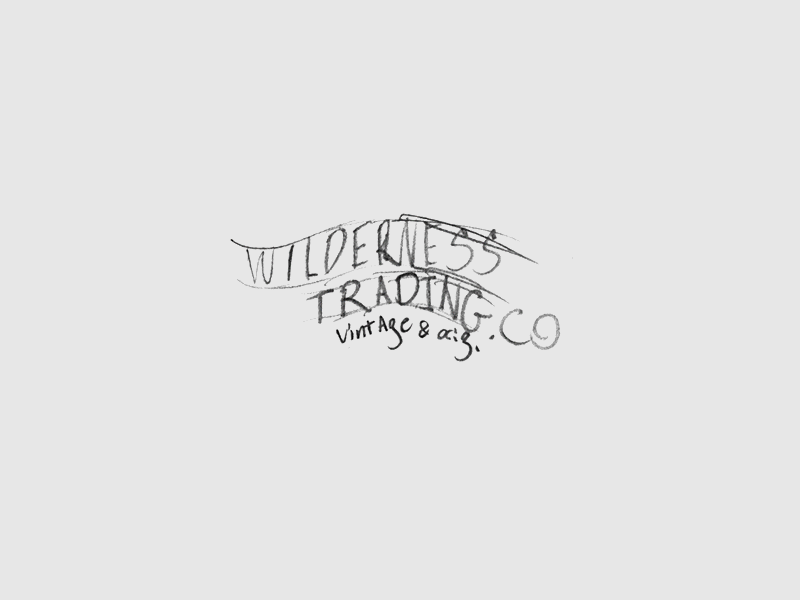 Wilderness Trading Logo from rough sketch to finish brand hand drawn handlettering handmade illustration lettering logo process sketch typography