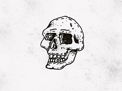 Little Skull