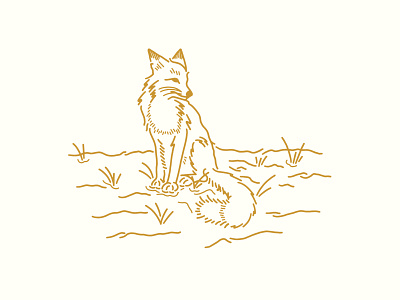 A Fox brand design digital grunge handmade illustration ink sketch texture vector