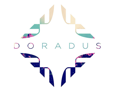 Doradus concept identity symmetry vector