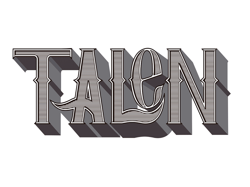 Talen color dark shadow flat identity lettering texture typography vector