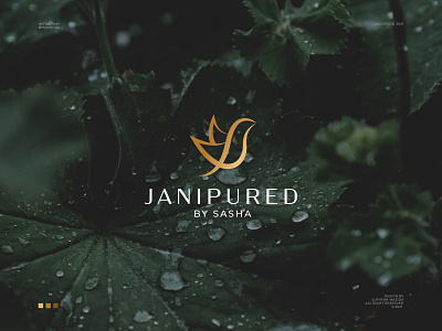 Janipured By Sasha Logo beauty bird bird logo branding elegant gold graphic design illustration logo luxury minimal modern art monogram logo