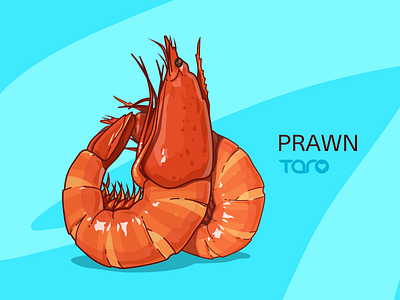 Summer Specials－ Prawn animal cartoon flat food icon illustration lobster painting seafood shrimp vector watercolor
