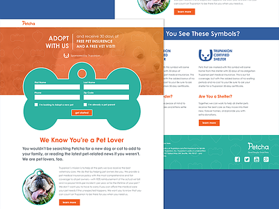 Petcha dogs forms landing page pets promotion web design