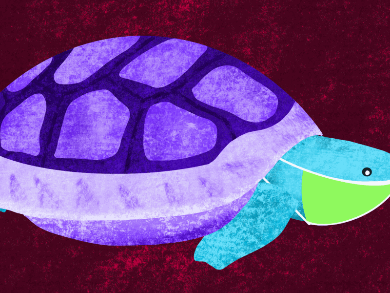 Tortoise says, "Stay Home!" animated gif corona corona awareness illustration procreate tortoise