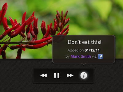 Don't eat this! buttons dark play slideshow st ryde tooltip