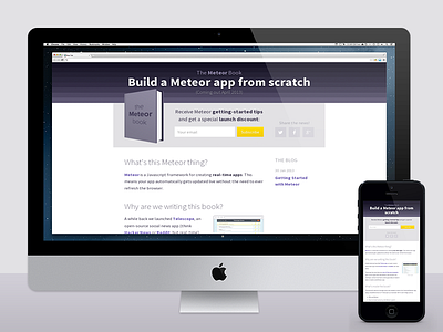 The Meteor Book book form landing page purple source sans pro