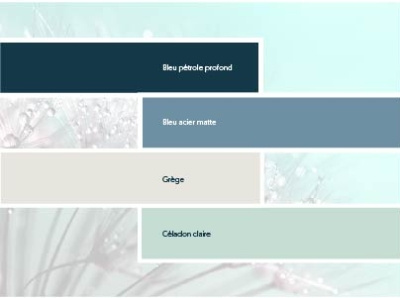 Color palette web - brand identity