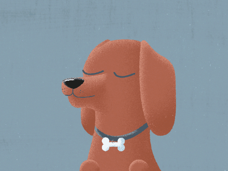 Sausage dog 2d animation after effects animation big eyes cute dog dachshund dog graphic design illustration illustrator mondayschallenge motion motion design motion graphics noise effect puppy sausage sausage dog