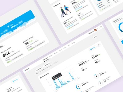 Travel Performance Dashboard