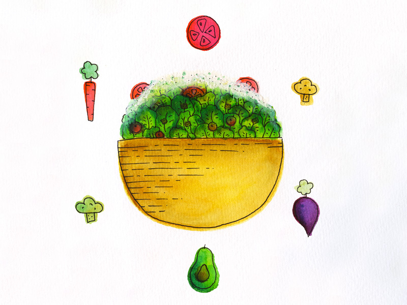 salad color hand drawn drawing pen watercolor illustration food farm green healthy veggies salad