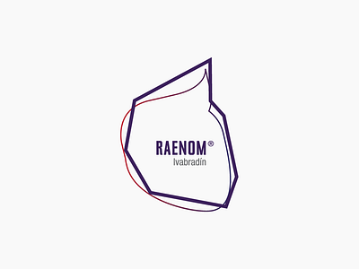 Logo for Raenom branding design logo polygon