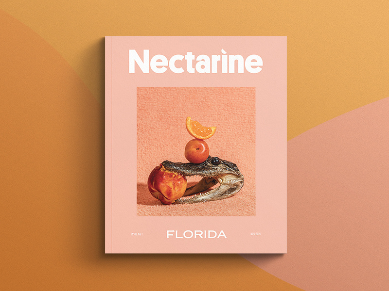 Nectarine Magazine by Danielle Harris on Dribbble