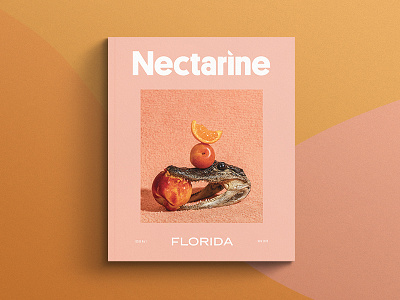 Nectarine Magazine art book branding and identity contemporary layout logo logotype magazine styling type