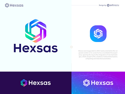 Hexsas logo and branding design project modern