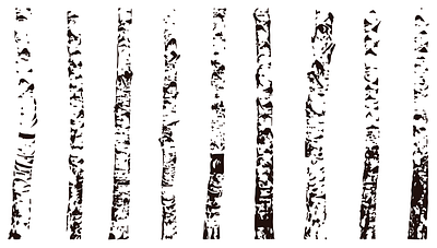 Scandinavian Birch adobe adobe illustrator bark birch birch wood bjørk black and white design digital forest illustration illustrator scandinavian tracing tree vector wood zebra tree