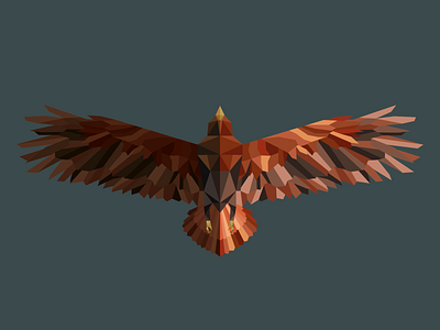 Eagle adobe illustrator animal bird design digital eagle flying geometric graphic design illustration low poly vector