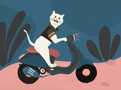 Crazy cat riding a Vespa illustartion procreate cat