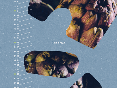 Foodie calendar - detail | Matilde Tiriticco branding design food graphic design illustration