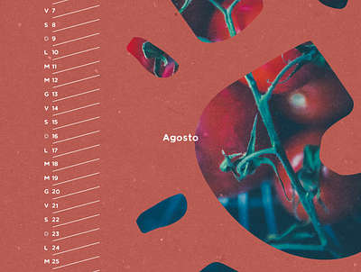 Foodie calendar - detail | Matilde Tiriticco brand design branding creative design food graphic design illustration logo