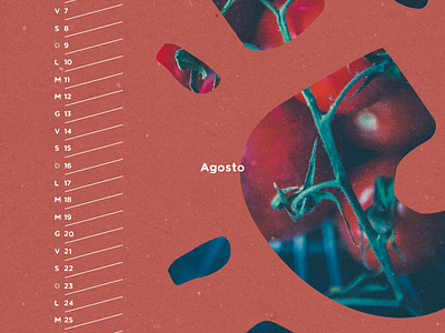 Foodie calendar - detail | Matilde Tiriticco