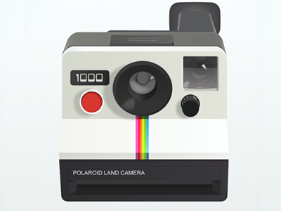 Finished Polaroid Land Camera