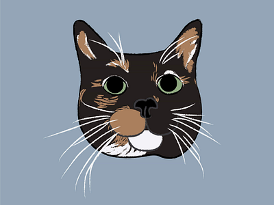 Millie portrait cat sketch pet drawing