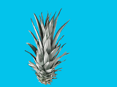 Pineapple design illustrator