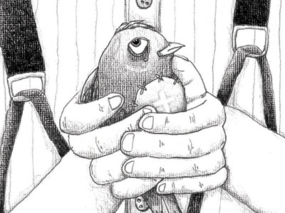 Untilted bird book illustration stories