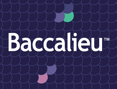 Baccalieu branding cartography design ecommerce logo mobile responsive retail typography ui