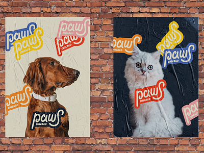 PAWS Chicago Poster branding design groovy lettering logo type typography vector