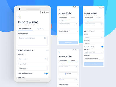 Import Wallet blockchain crypto wallet cryptocurrency dashboard design digital wallet import wallet interaction typography ui ux