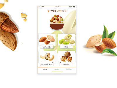 Web Dryfruits - App Design illustration