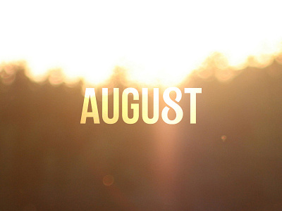 The infinite August august golden season summer sunlight