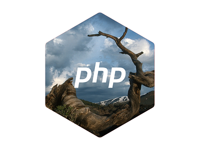 Hex PHP hexagon idaho php