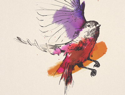 bird animal bird editorial illustration fashion gustav illustration illustration design ink jugendstil klimt lines linesart paper pencil watercolor