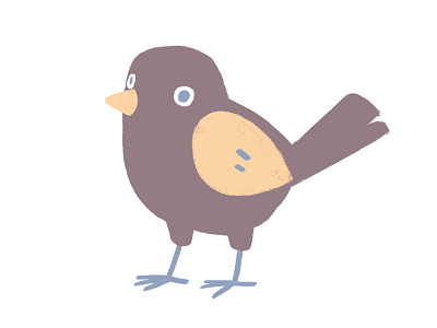 cute bird