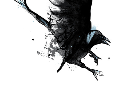 raven animal bird black editorial fashion illustration ink raven watercolor watercolor art
