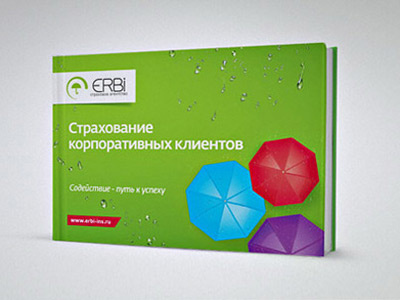 Insurance company brochure design