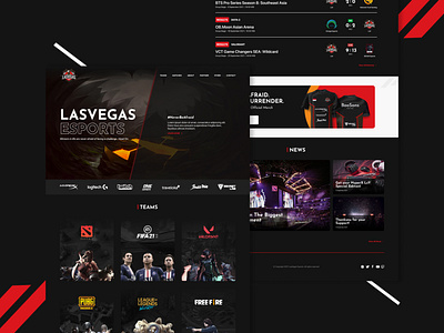 LsV Esports Website branding dark design dota2 esports games indonesia landingpage ui uidesign uxdesign website