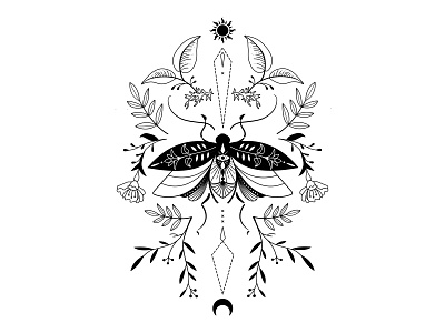 bug bug illustration linework ornaments
