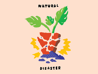 Natural Disaster