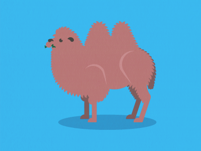 My lovely camel lumps. animal camel chew eating gif leaf twig
