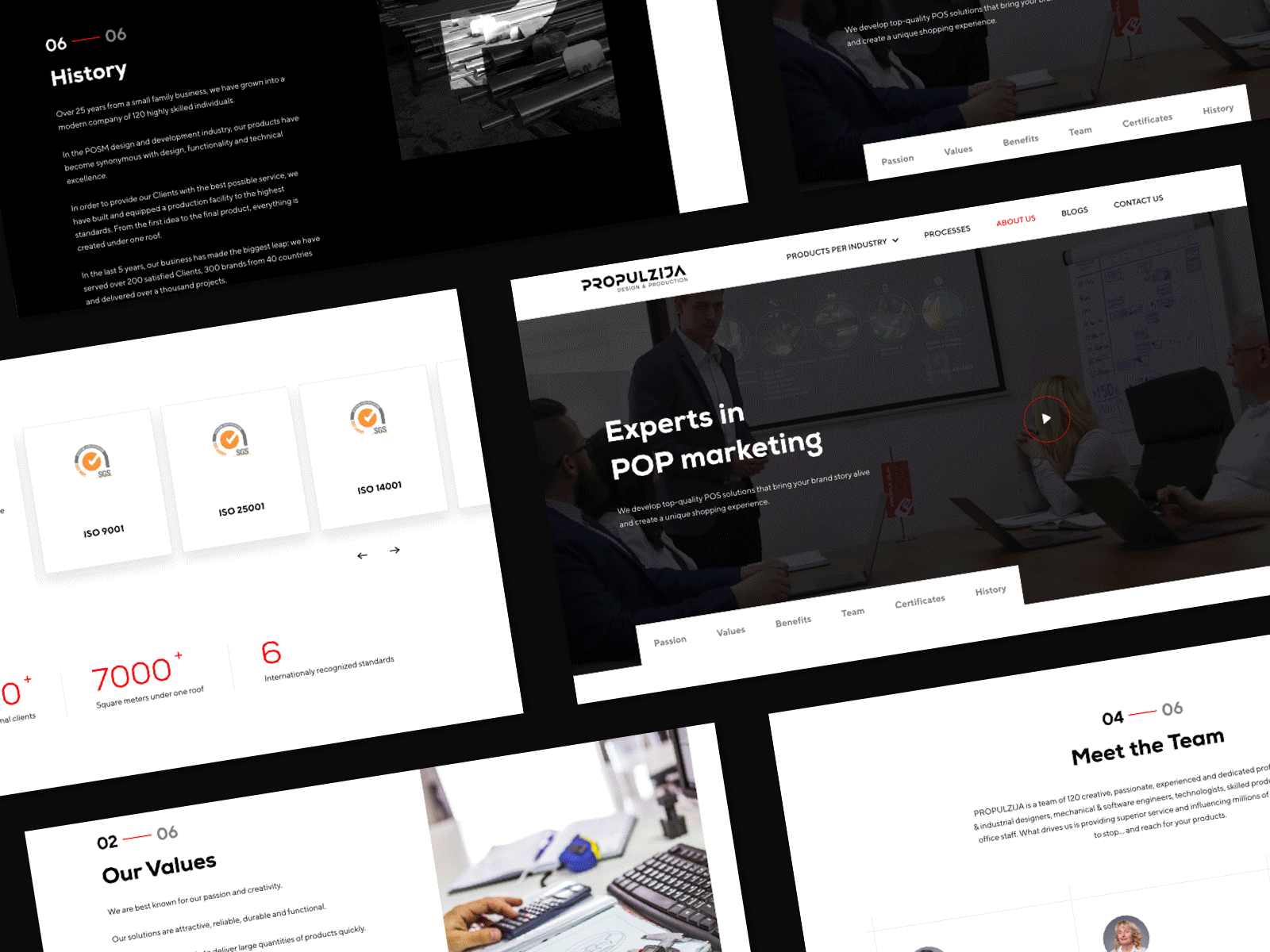 Propulzija - website design uxui web web design website