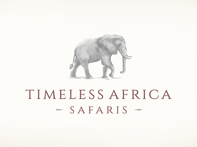Timeless Africa Safaris africa branding corporate identity elephant elephant logo illustration logo logo icon safari timeless update