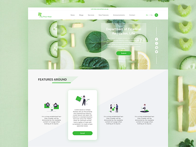 Home Page. design flat ui web