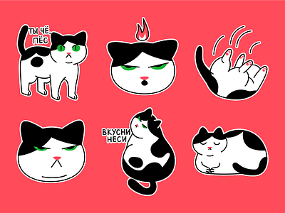 Chonky Cat Stickers cat illustration cute fat cat flat illustration funny illustration kitty stickers vector