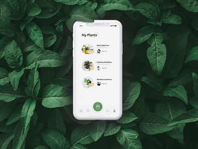 Swaplant App app green plants product product design share swap swaplant