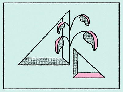 plants & geometry 2d art color design geometic geometric design geometry hand drawn illustration plant illustration plants vector